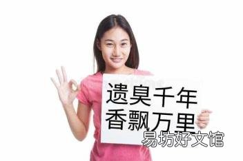 湖南长沙特产易携带的 湖南长沙特产
