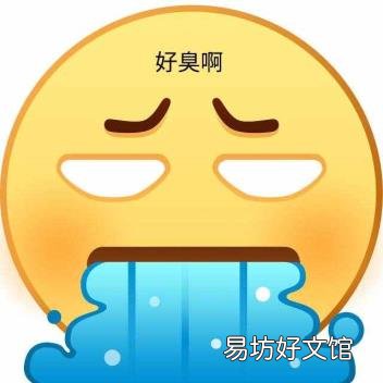 湖南长沙特产易携带的 湖南长沙特产