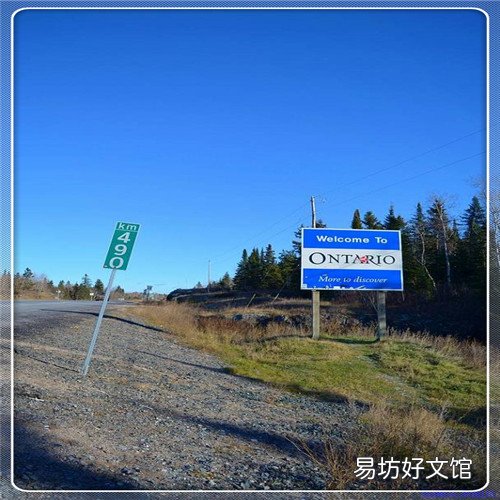 白狐代表什么 千年白狐国语