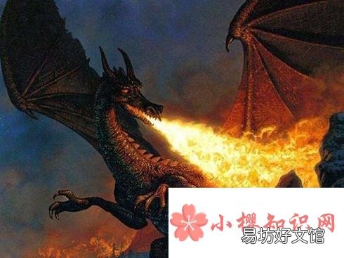 东方龙和西方龙的区别