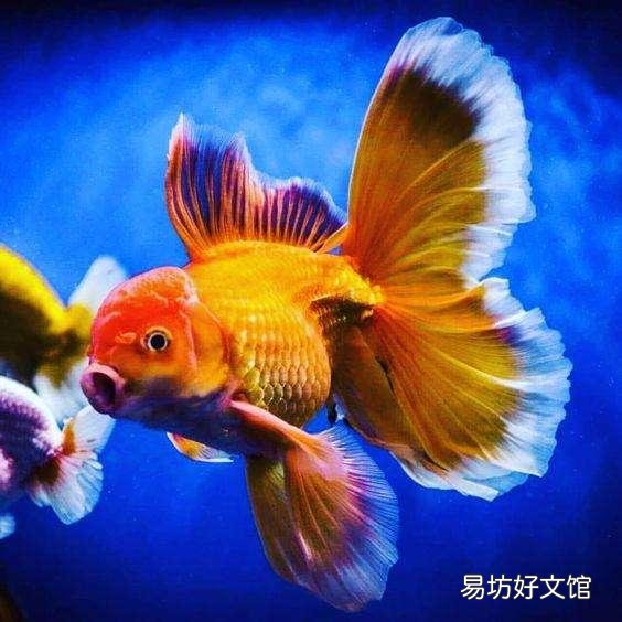 市直在编高中数学老师,27岁。考上了前十985的全日制基础数学研究生,如何取舍?