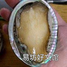 清蒸鲍鱼蒸几分钟最好 清蒸鲍鱼的做法