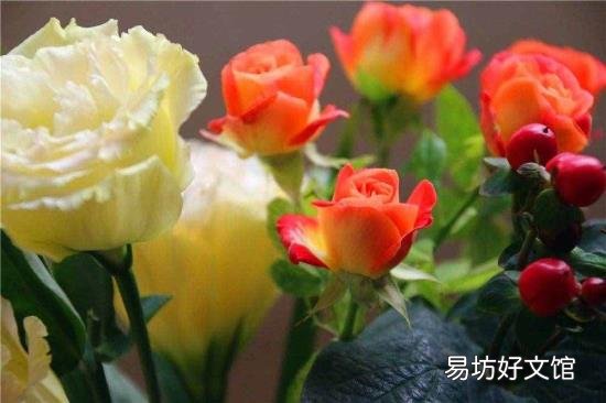 鲜花如何自制永生花 鲜花怎么保鲜