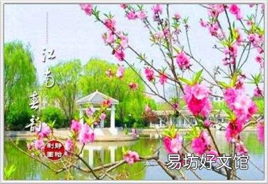 江南春杜甫的诗 江南春古诗