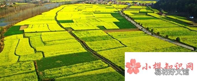 梯形田地如何计算亩数公式?