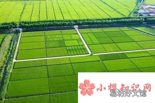 梯形田地如何计算亩数公式?