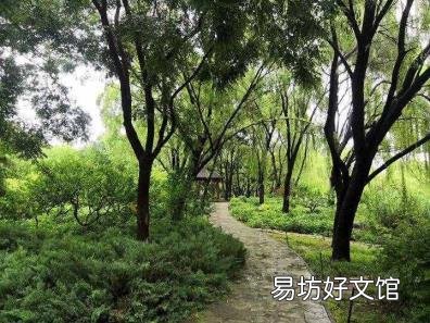 路灯灯杆安装要求 路灯像什么