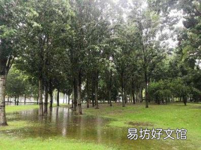 路灯灯杆安装要求 路灯像什么