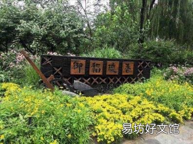 路灯灯杆安装要求 路灯像什么