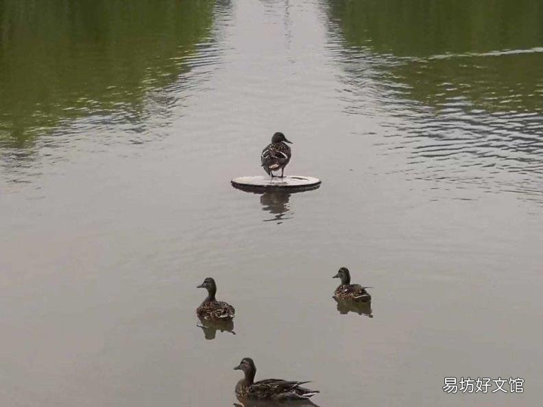 路灯灯杆安装要求 路灯像什么