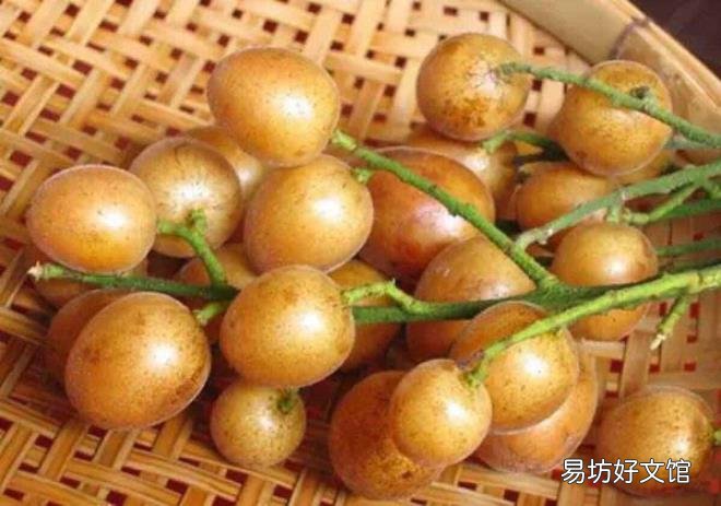 海南有哪些特产水果 海南特色水果