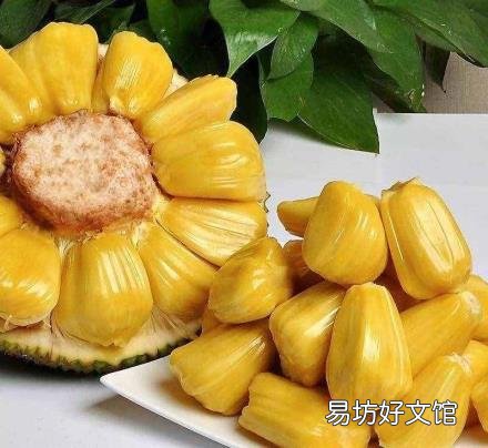 海南有哪些特产水果 海南特色水果