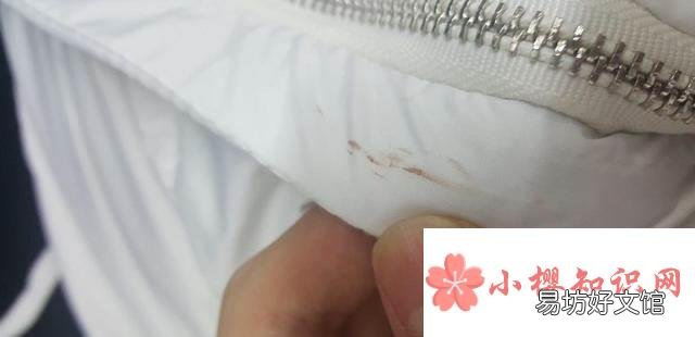 衣服上的血渍用什么水洗容易洗掉？