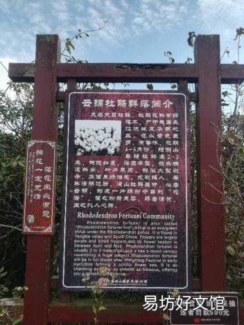 风景名胜区英语翻译 风景区英文