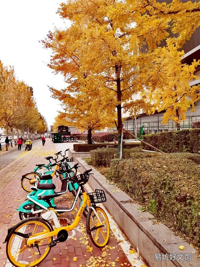 保研是去沈阳的985东北大学,还是去上海的211大学呢?