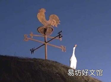 小猪宝贝国语版电影下载 小猪宝贝国语