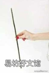 手工折纸玫瑰花教程 海绵纸折玫瑰花