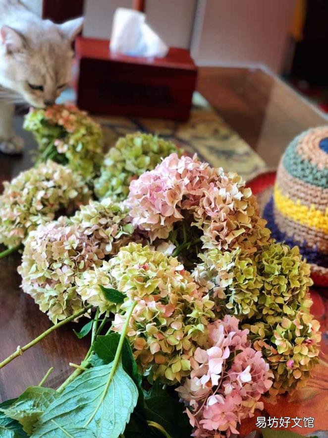 最简单手工制作小花 手工制作花