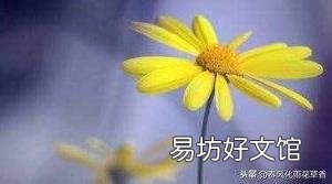 赞美果实累累的诗句 硕果累累近义词