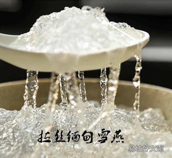雪燕哪些人不宜吃 血燕是什么