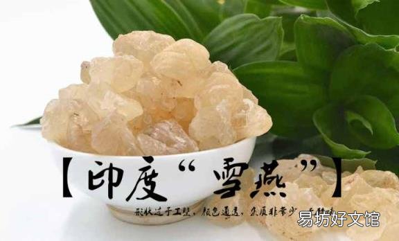 雪燕哪些人不宜吃 血燕是什么