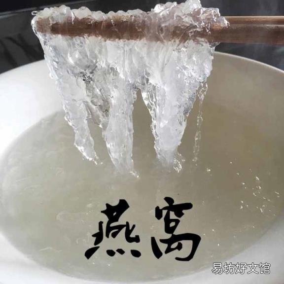 雪燕哪些人不宜吃 血燕是什么