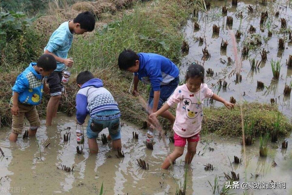 泥鳅汤补肾的做法大全 泥鳅汤的做法