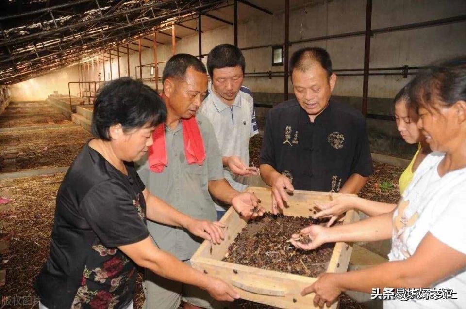 每年的立春是哪一天 立春是哪天