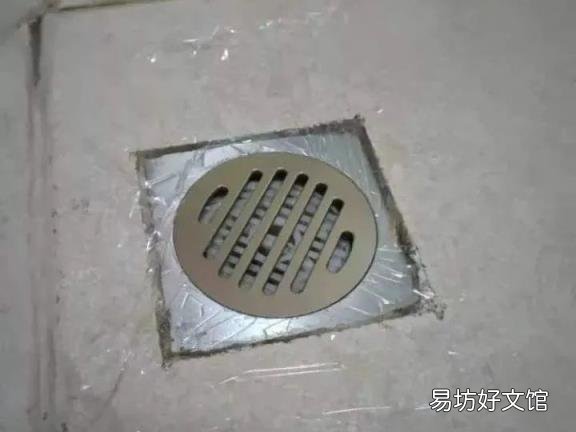 飛蛾怎么養(yǎng) 飛蛾吃什么