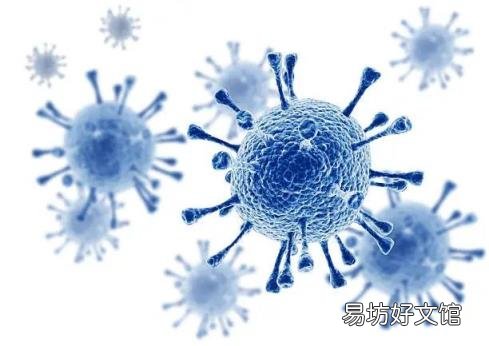 飛蛾怎么養(yǎng) 飛蛾吃什么