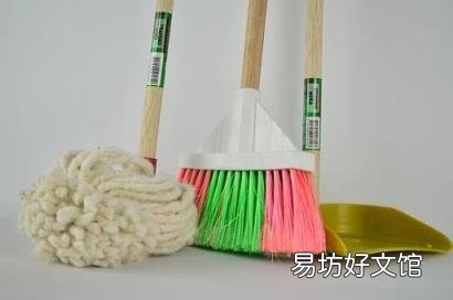飛蛾怎么養(yǎng) 飛蛾吃什么