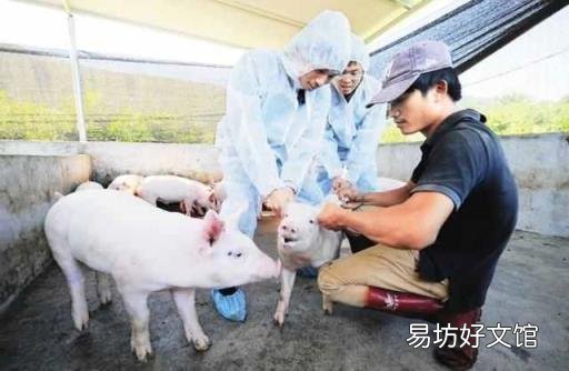 氮氧化物是怎么产生的 氨气和氧气
