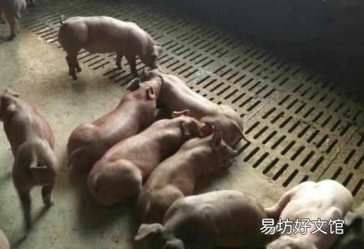 氮氧化物是怎么产生的 氨气和氧气