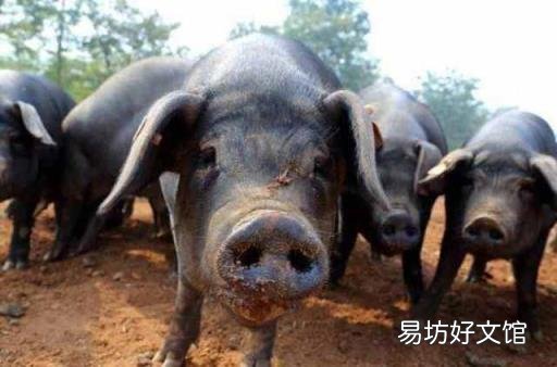 氮氧化物是怎么产生的 氨气和氧气