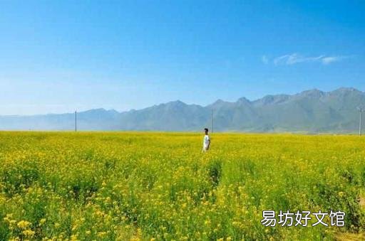 拍油菜花的姿勢(shì)大全 哪里看油菜花