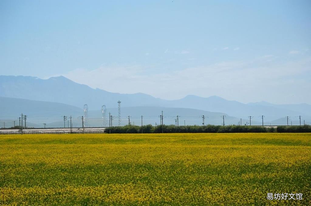 拍油菜花的姿勢(shì)大全 哪里看油菜花