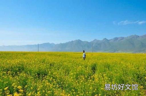 拍油菜花的姿勢(shì)大全 哪里看油菜花