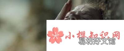 雷普是什么意思?