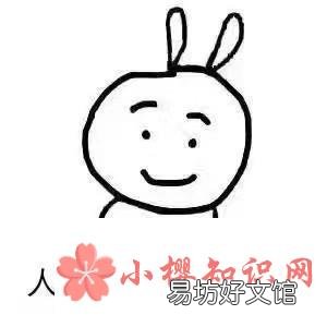 雷普是什么意思?