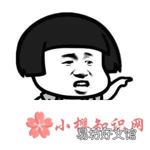雷普是什么意思?