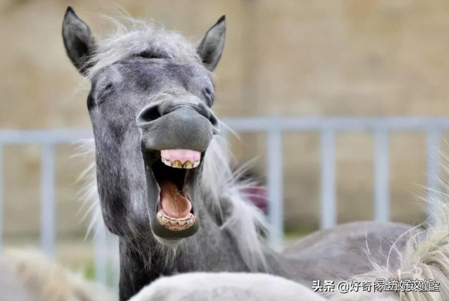 2021年晚婚晚育的年龄是多少 晚婚年龄是多少