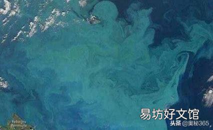 全球变暖为啥越来越冷 全球变暖的危害