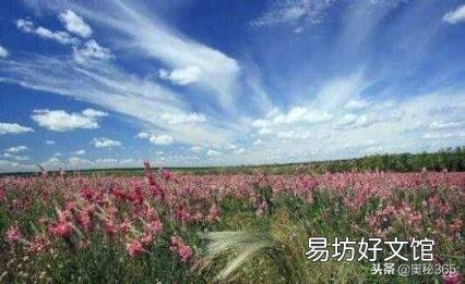 全球变暖为啥越来越冷 全球变暖的危害