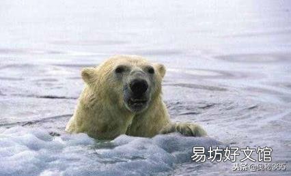 全球变暖为啥越来越冷 全球变暖的危害