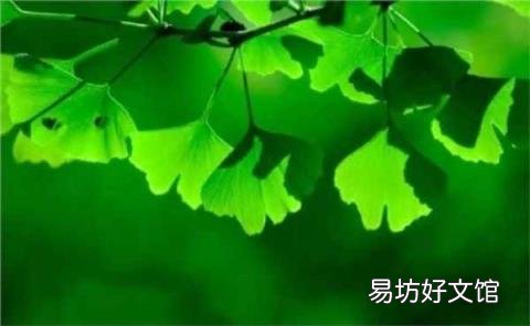 大暑的含义 大暑是什么意思啊