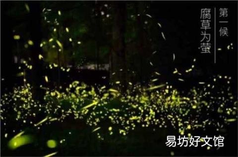 大暑的含义 大暑是什么意思啊