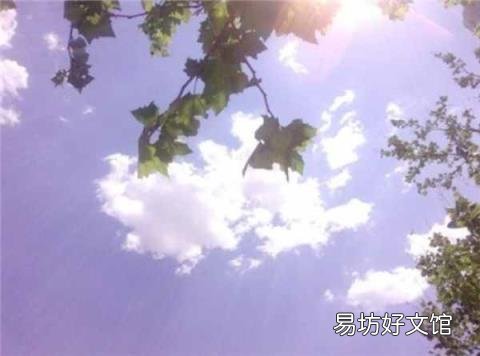 大暑的含义 大暑是什么意思啊
