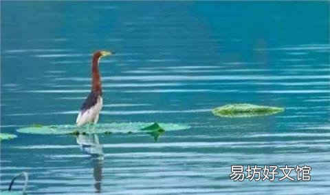 大暑的含义 大暑是什么意思啊