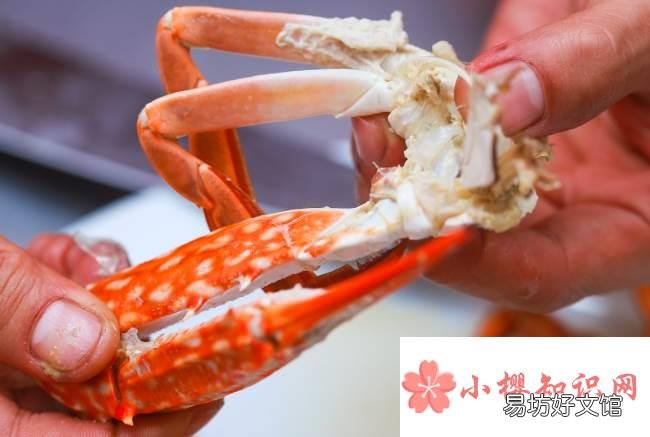 螃蟹可以放冰箱冷冻保存吗?