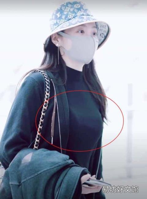 海豚公主是什么意思 海豚公主